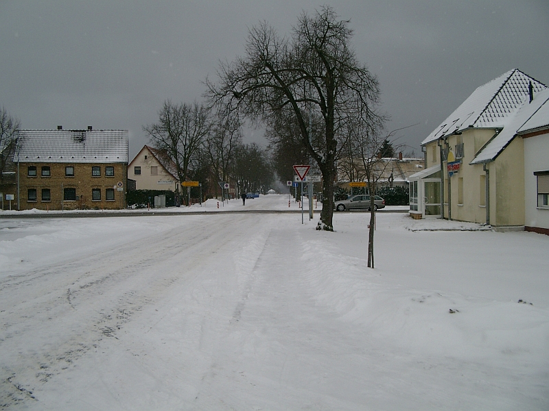 Winter 